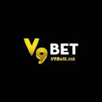 V9be t Profile Picture