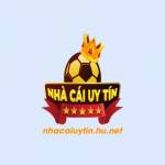 nhacaiuytinhunet Profile Picture