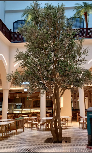 Why Dubai Mall Chose a Bespoke Artificial Olive Tree | Shajara