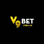 v9betdk Profile Picture