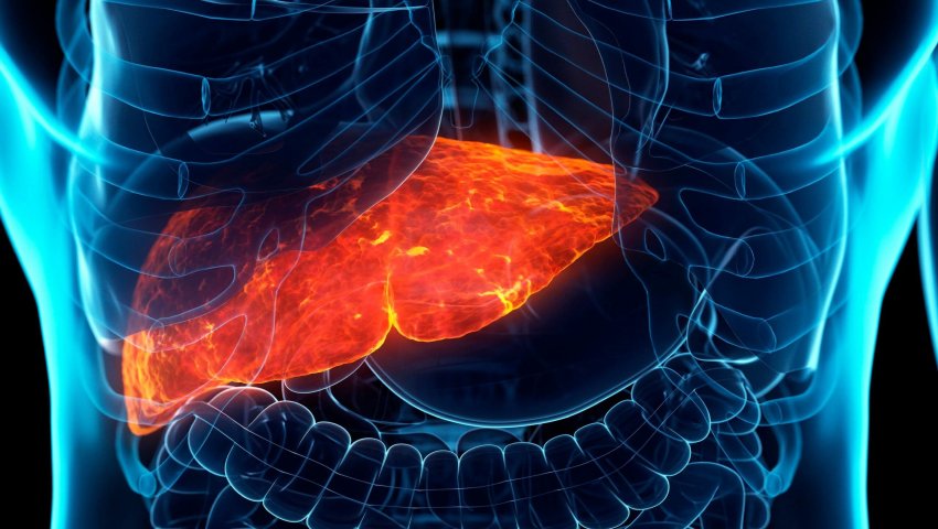 When Should You See a Liver Specialist? | Apex Hospital