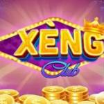 XENGvi profile picture