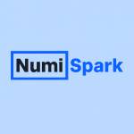 Numi Spark profile picture