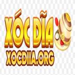 xocdiiaorg Profile Picture