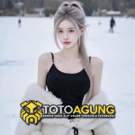 TOTOAGUNG1 Profile Picture