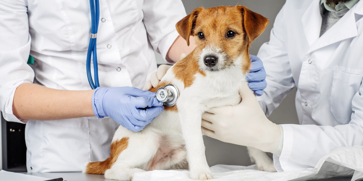 Animal Parasiticides Market Innovation Focuses on Residue-Free Products and Targeted Parasitic Control Technologies