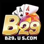 b29uscom Profile Picture