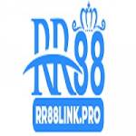 RR88 Profile Picture