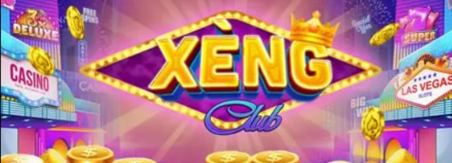 XENGvi Cover Image