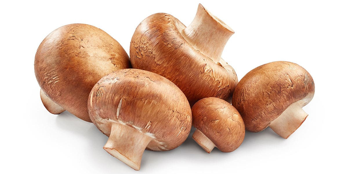 Mushroom Market Hindrances: Key Barriers in Infrastructure, Standards, and Regulation Slowing Industry Expansion