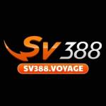 Trang Chủ SV388 Profile Picture
