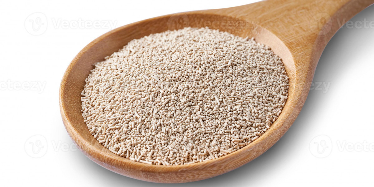 Yeast Nucleotides Market: Scope, Growth, and Key Opportunities Ahead
