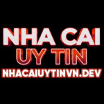 nhacaiuytinvndev Profile Picture