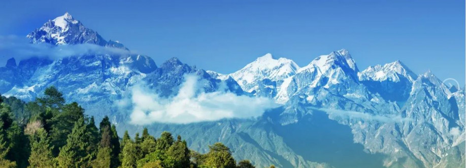 Trip Advisor Cover Image