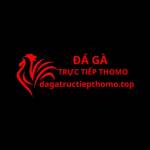 Dagatructiepthomo Top Profile Picture