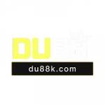 DU88 Profile Picture