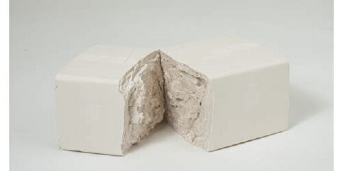 Compressed Yeast Market Innovations: Driving Growth Through Technology and Sustainability